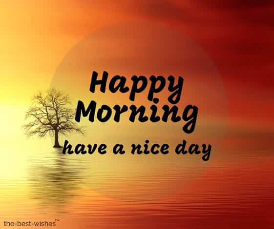 happy morning have a nice day