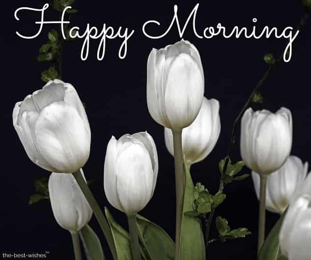 happy morning images with white flowers pic