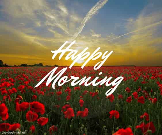 happy morning nature images