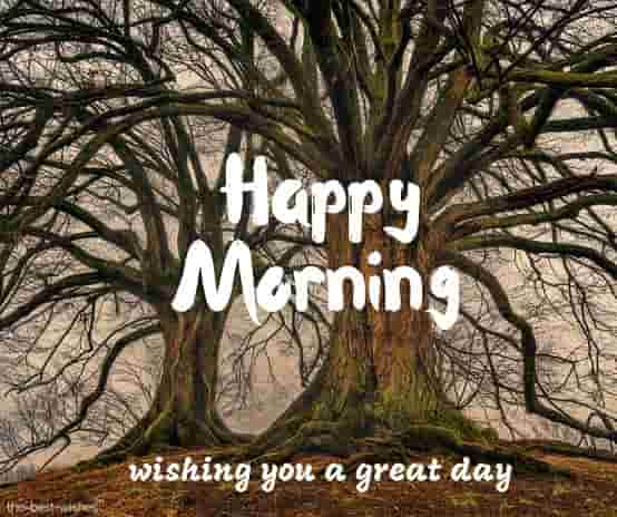 happy morning wishing you a great day