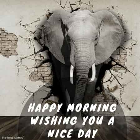happy morning wishing you a nice day with elephant