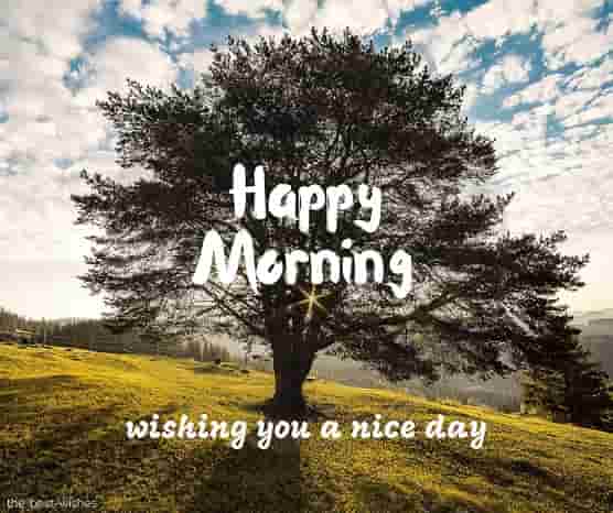 happy morning wishing you a nice day