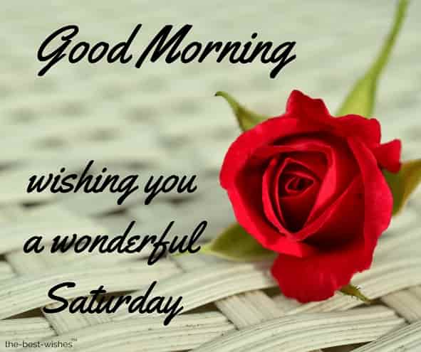 happy morning wishing you a wonderful saturday
