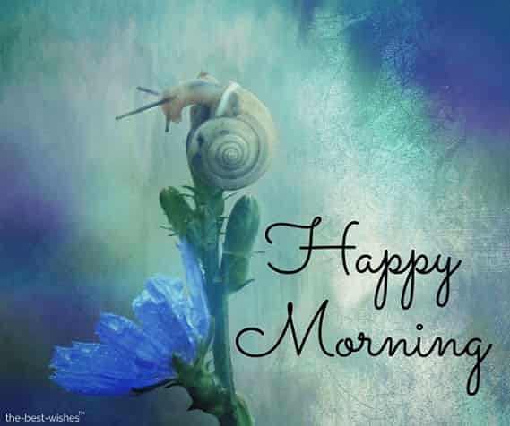 happy morning with blue roses pic
