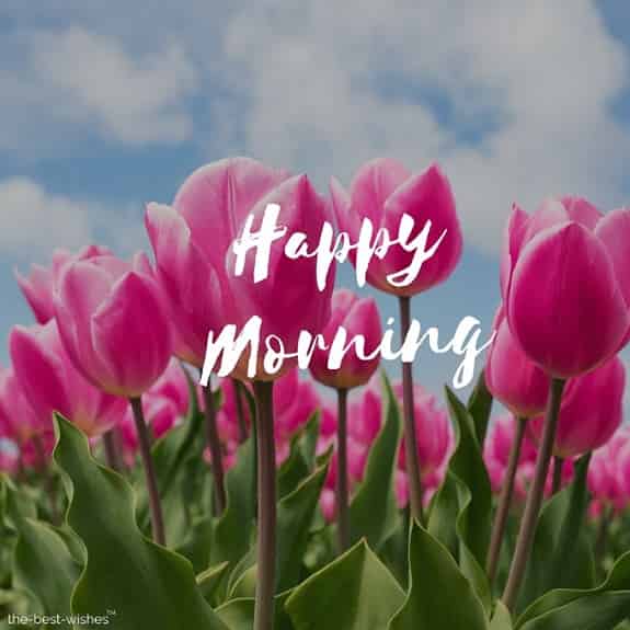 happy morning with pink flowers