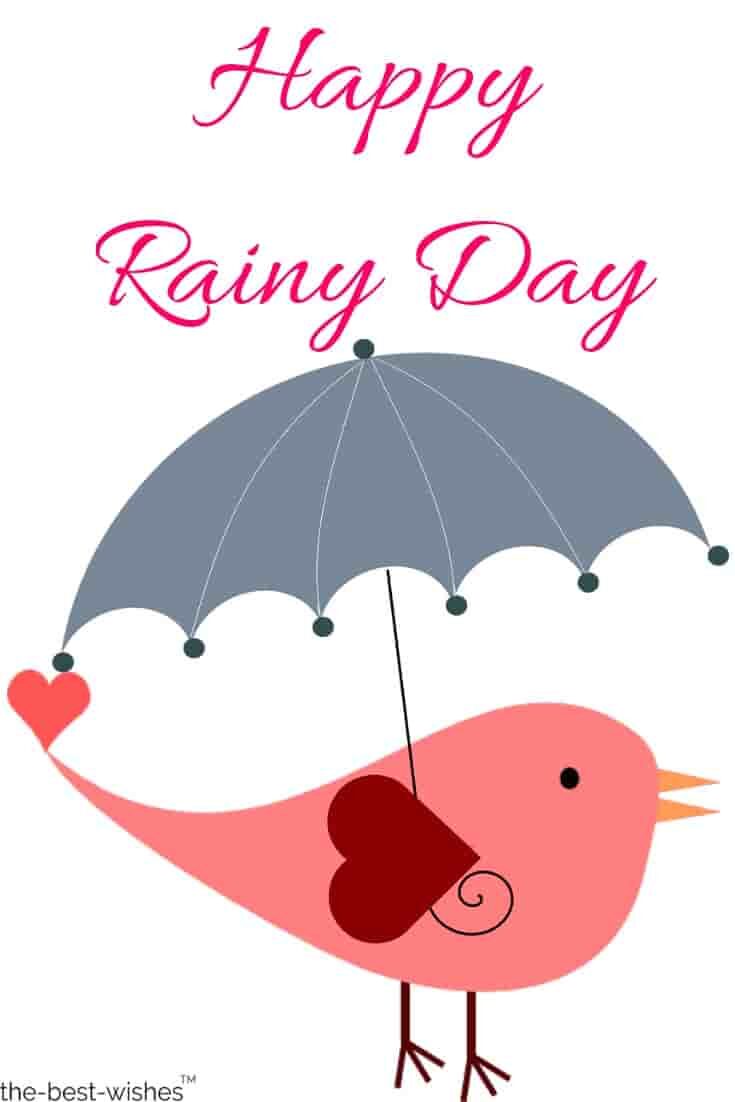 happy-rainy-day-pictures-with-bird