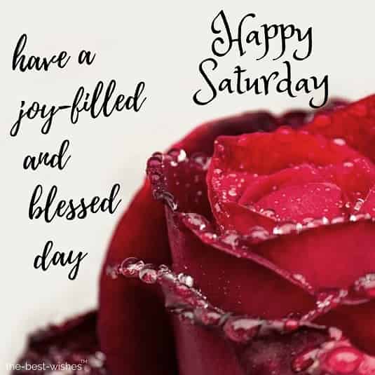 happy saturday have a joy filled and blessed day
