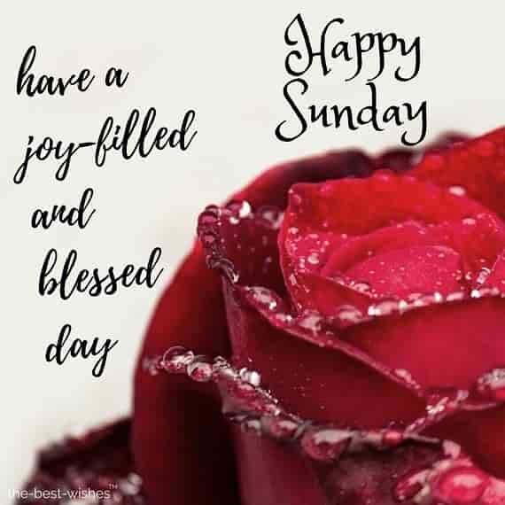 happy-sunday-have-a-joy-filled-and-blessed-day