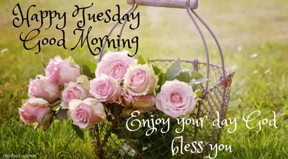happy tuesday good morning with flowers basket