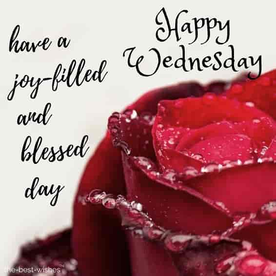 happy wednesday have a joy filled and blessed day