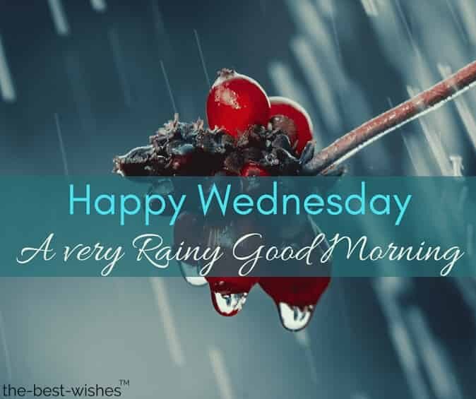 happy-wednesday-rainy-good-morning-image