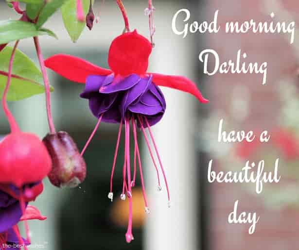 have a beautiful day darling
