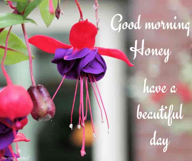 have a beautiful day honey