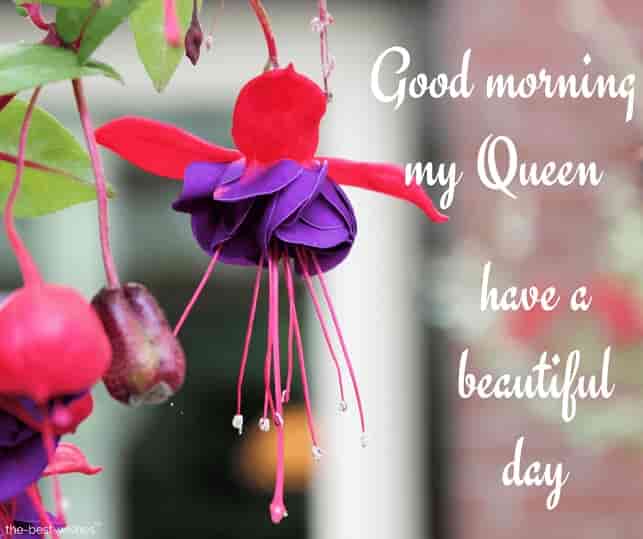 have a beautiful day my queen