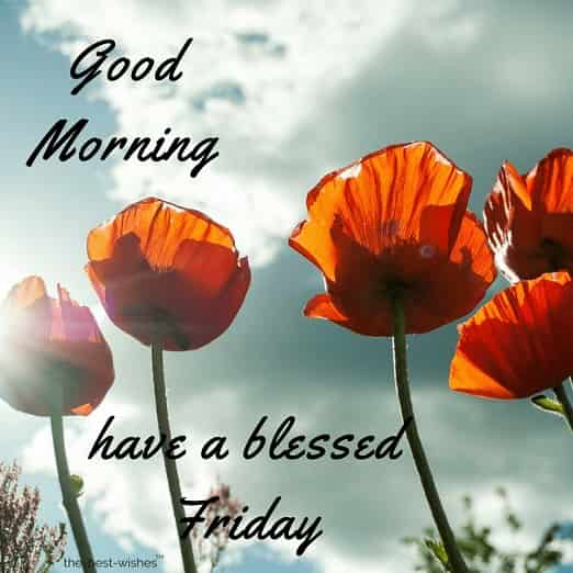 have a blessed friday