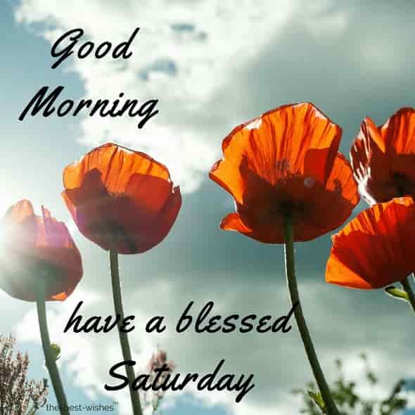 have a blessed saturday