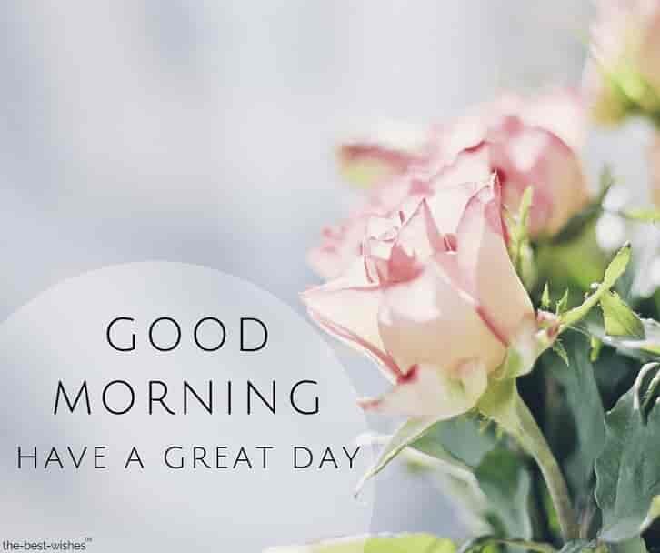 have-a-great-day-good-morning