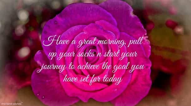 have a great morning pull up your socks and start your jouney to achieve the goal you have set for today