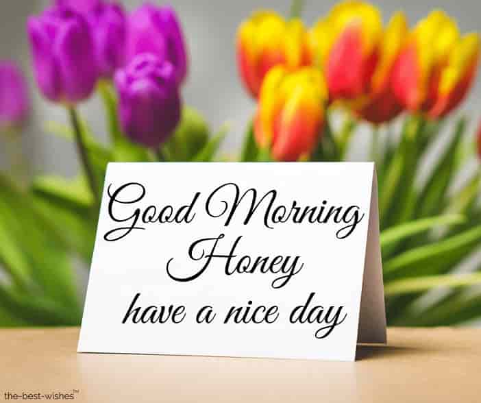 have a nice day honey