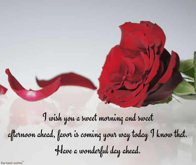 have a wonderful day letter with red rose