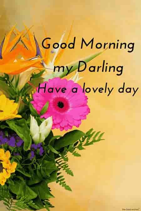 hd bouquet gud morning wishes