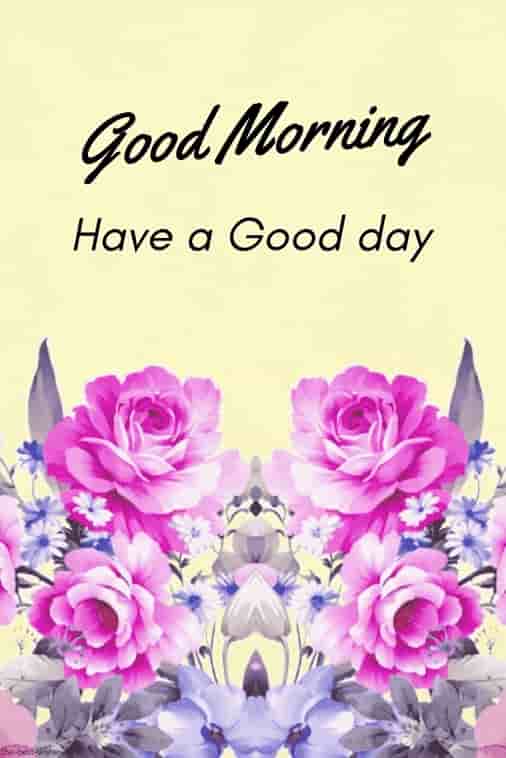 hd greeting card of good morning