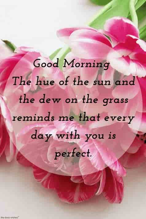 hd morning wishes message for lover with flowers