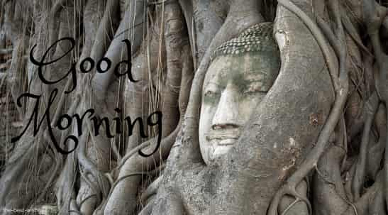 head of god bodhi tree ayutthaya image