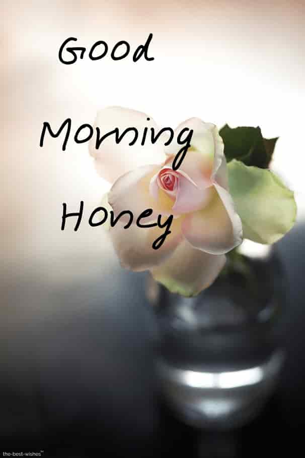 honey good morning images