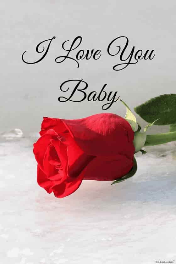 i love you baby with red rose hd pic