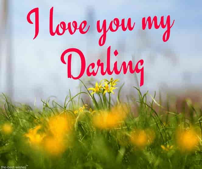 i love you darling