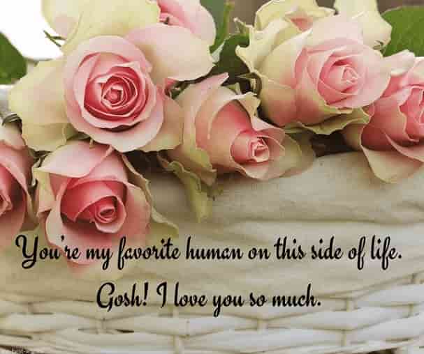 i love you good morning text for her with roses in wooden basket