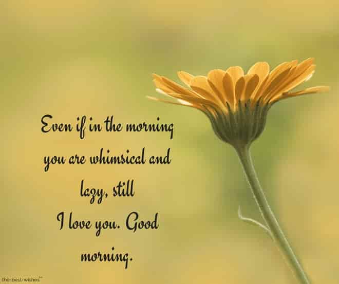 i love you good morning text with yellow flower
