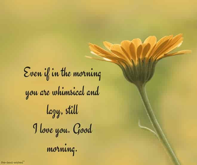 300+ Good Morning Quotes Images, Wishes & Messages