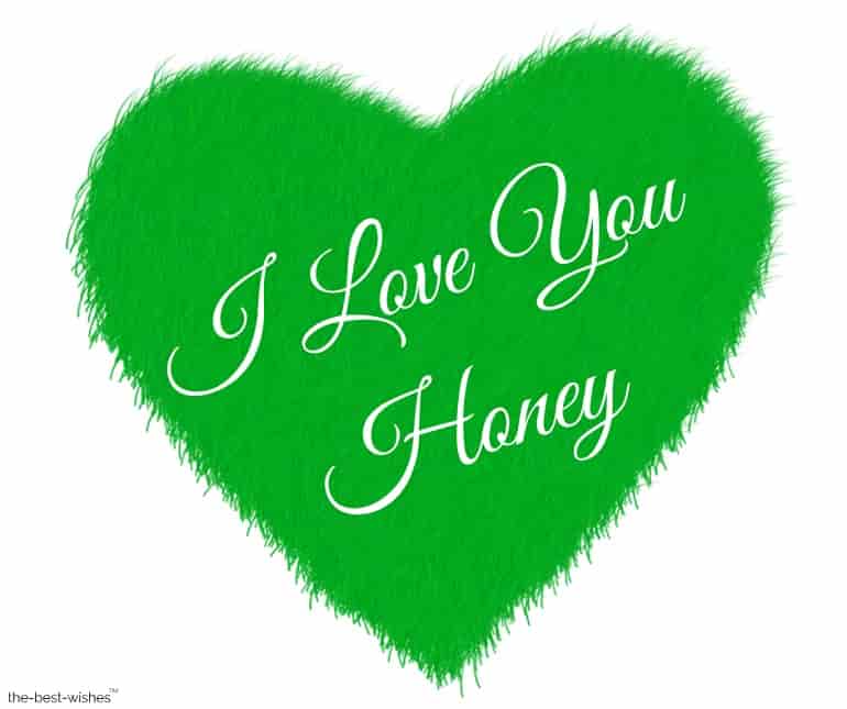 i love you honey