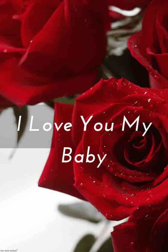 i love you my baby pic with red rose