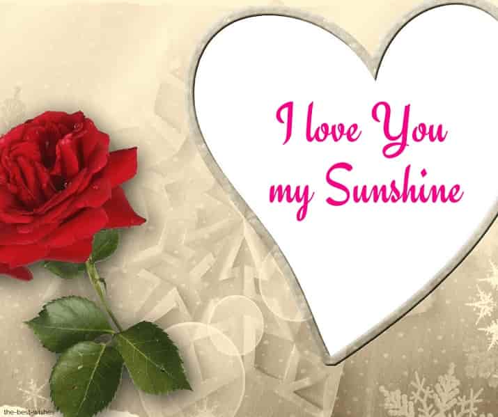 i love you my sunshine