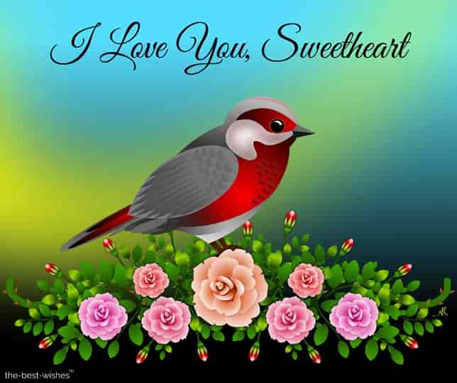 i love you sweetheart picture with bird