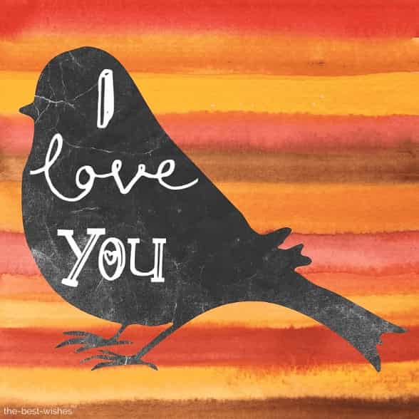 i love you with a bird