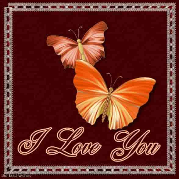 i love you with a butterfly