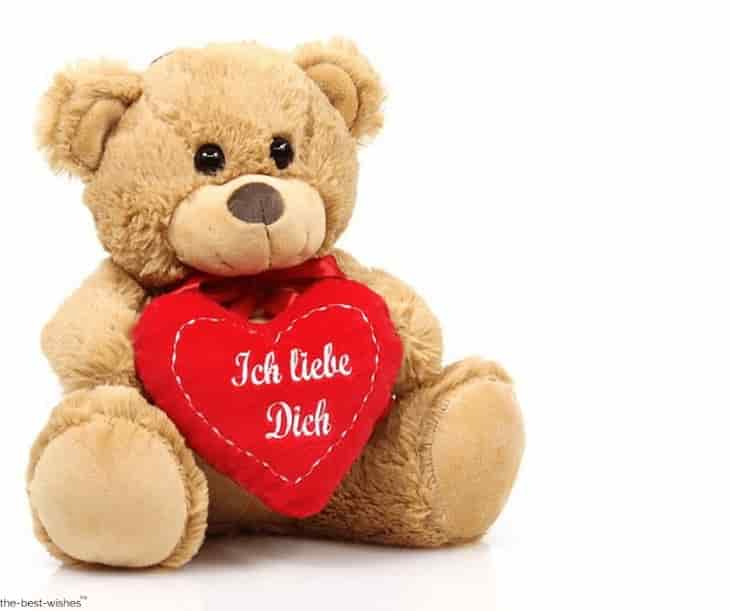 i love you with teddy bear
