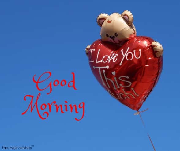 i love you with teddy good morning