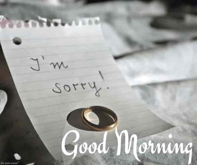i-m-sorry-good-morning-image