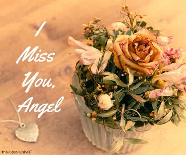 i miss you angel