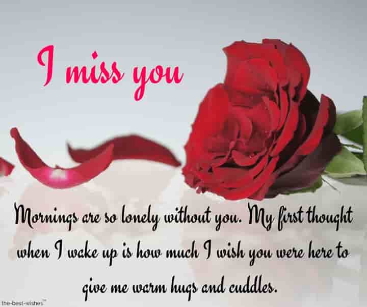 i miss you message for him with red rose