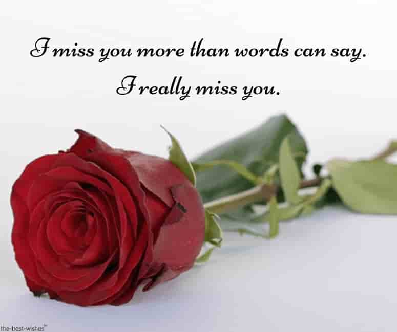 i miss you text message for him with red rose