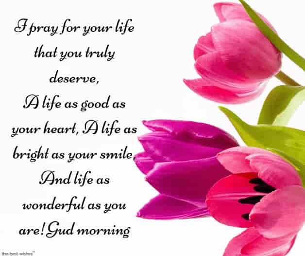 i pray for your life sms with flowers