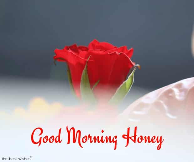 images of good morning honey