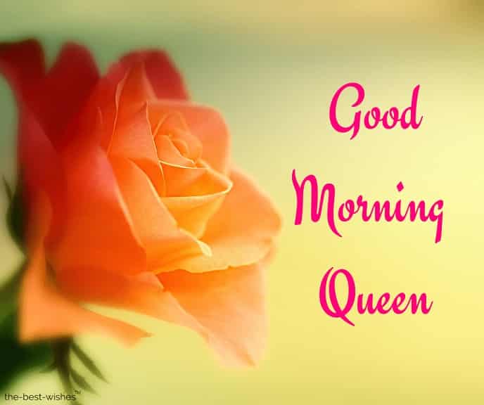 images of good morning queen