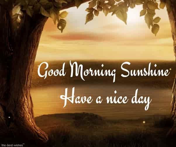 images of good morning sunshine have a nice day